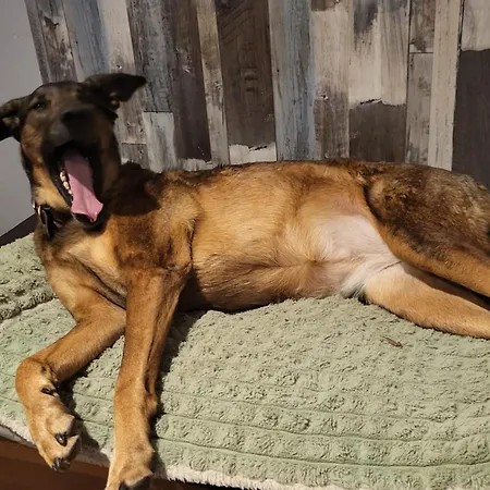 ヴィラ Chez Corinne