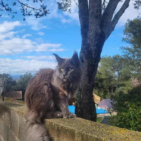 Chez Corinne ヴィラ Russan