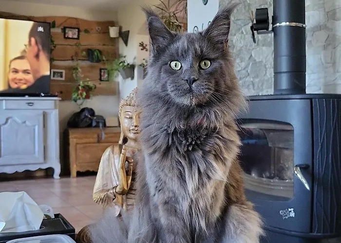 Villa Chez Corinne *