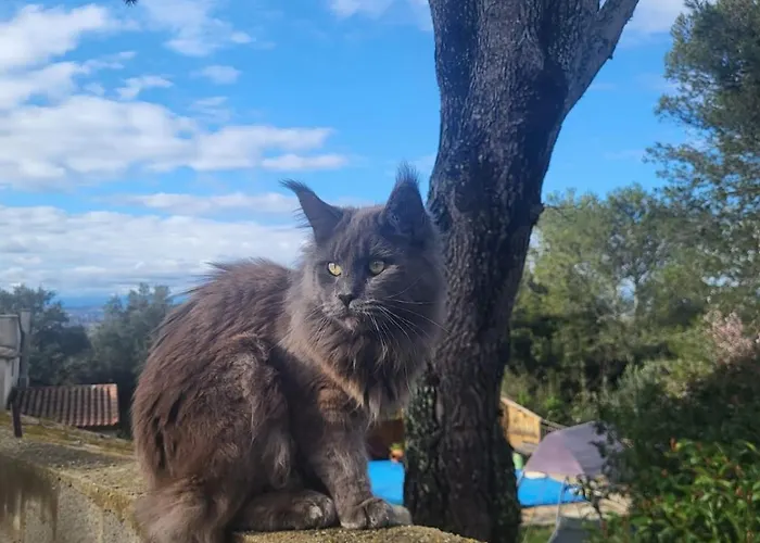 Chez Corinne Villa Russan